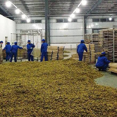 �ջ���ɬF(xi��n)��