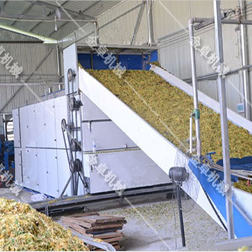 ���y������F(xi��n)��(ch��ng)